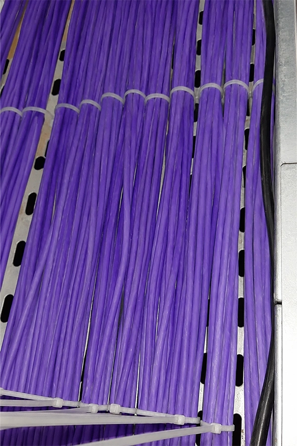 project passive_10