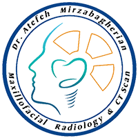 logo atefe mirzabagherian ico